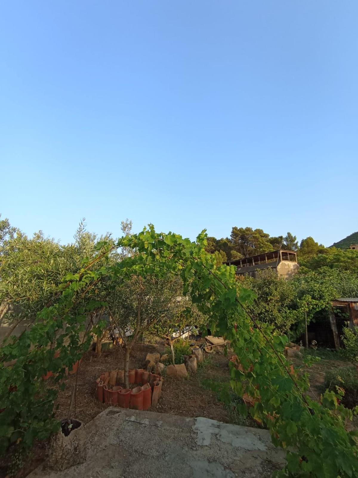 הוילה איגלסיאס Oleandro מראה חיצוני תמונה